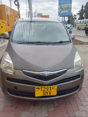 Toyota Ractis 2007 Gray