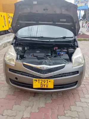 Toyota Ractis 2007 Gray