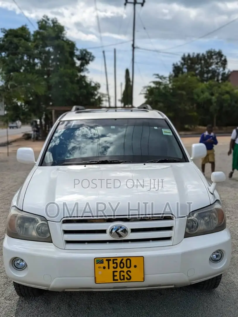 Toyota Kluger 2004 Pearl