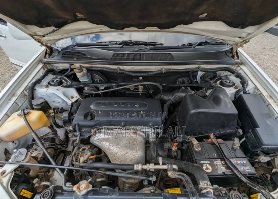 Toyota Kluger 2004 Pearl