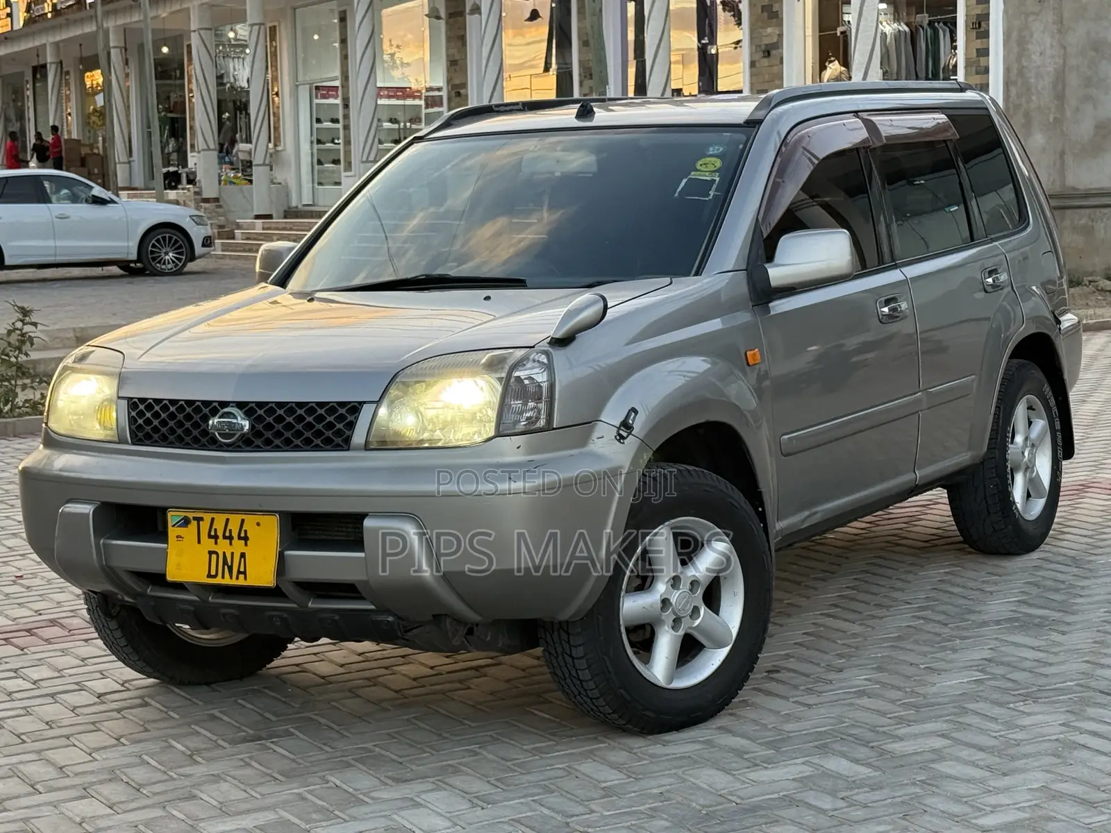 Nissan X-Trail 2004 Beige