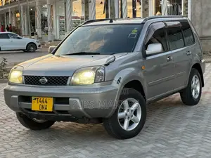 Nissan X-Trail 2004 Beige