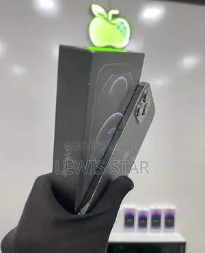 New Apple iPhone 12 Pro Max 128 GB Gray