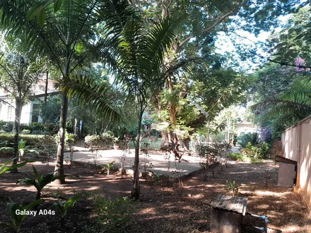 Plot Area SQM 3616 for Sale Oyster Bay