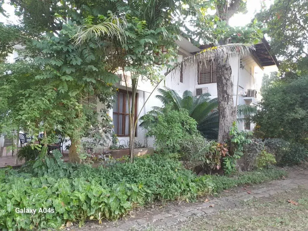 Plot Area SQM 3616 for Sale Oyster Bay