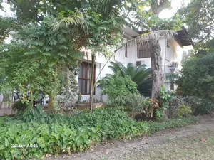 Plot Area SQM 3616 for Sale Oyster Bay