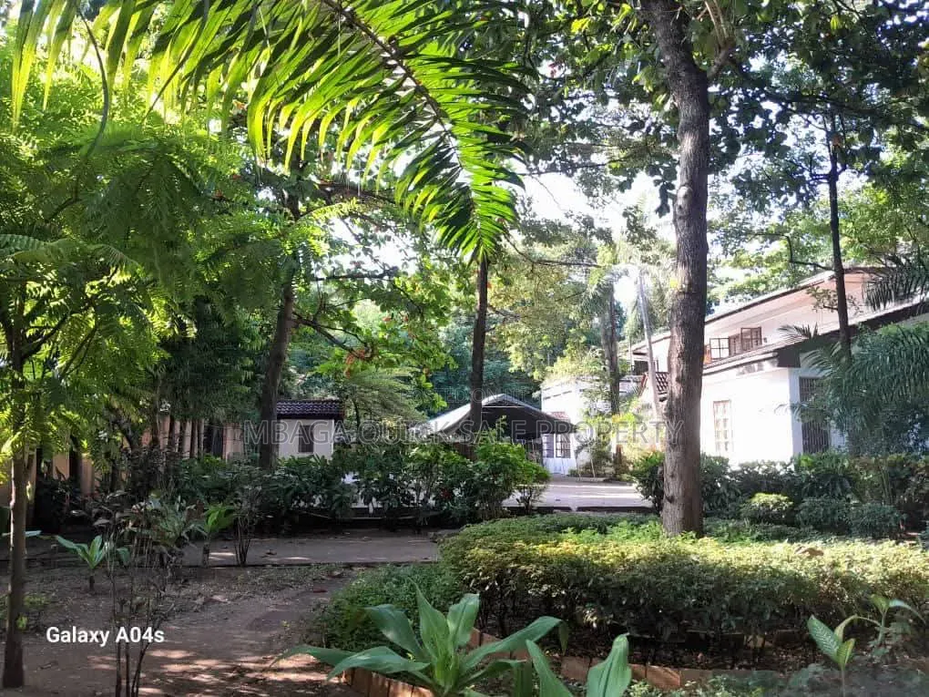 Plot Area SQM 3616 for Sale Oyster Bay