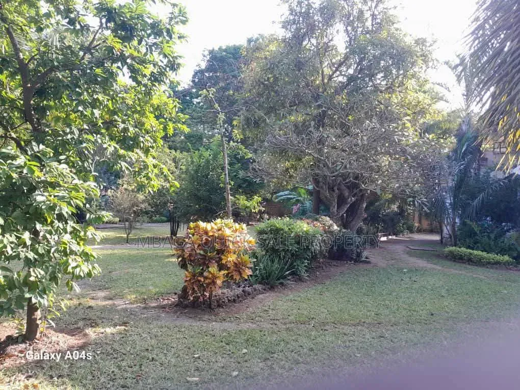 Plot Area SQM 3616 for Sale Oyster Bay