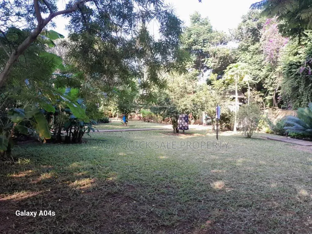 Plot Area SQM 3616 for Sale Oyster Bay