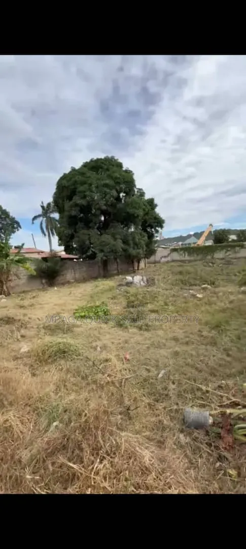 Plot Area SQM 870 for Sale at Tegeta Nysishozi