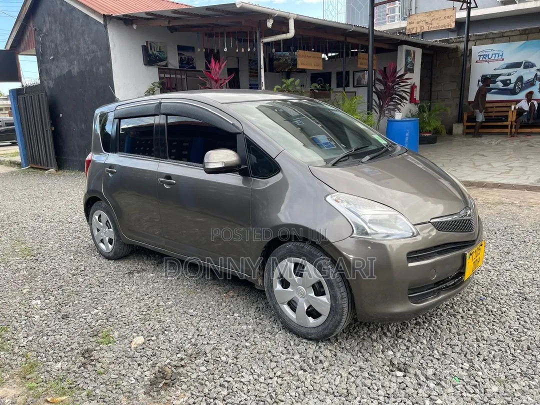 Toyota Ractis 2009 Gray