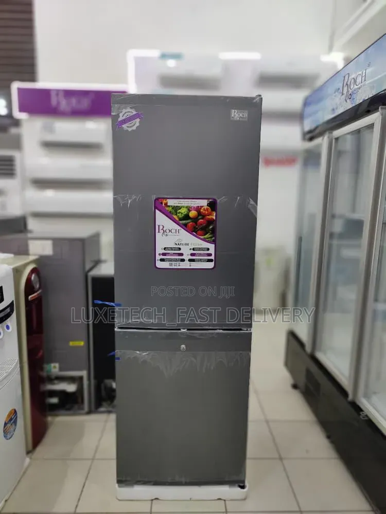 Roch Double Door Combi Fridge 248 Litres With Bottom Freezer