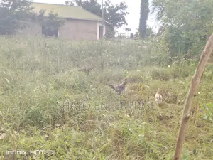 Kiwanja Kinauzwa Mbweni