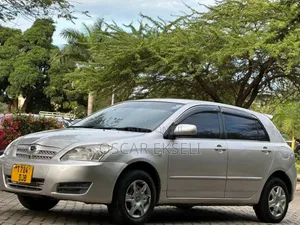 Toyota Corolla RunX 2005 Silver