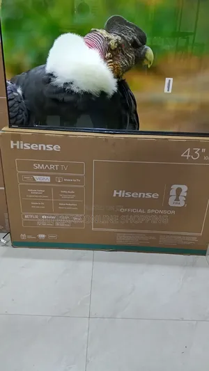 Hisense 43 Inch A4 Series Smart Tv