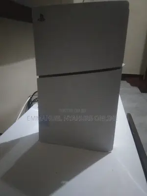 Ps 5- Disk Version