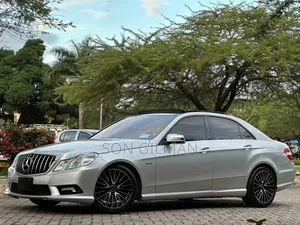 Mercedes-Benz E250 2011 Silver