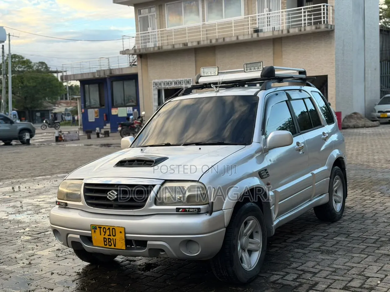Suzuki Escudo 2005 Silver
