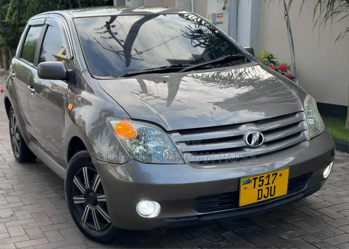 Toyota IST 2003 Gray
