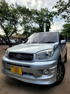 Toyota RAV4 2004 Silver