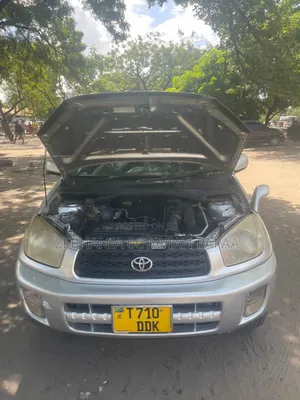 Toyota RAV4 2004 Silver