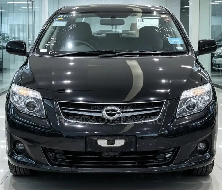 Toyota Corolla Fielder 2010 Black