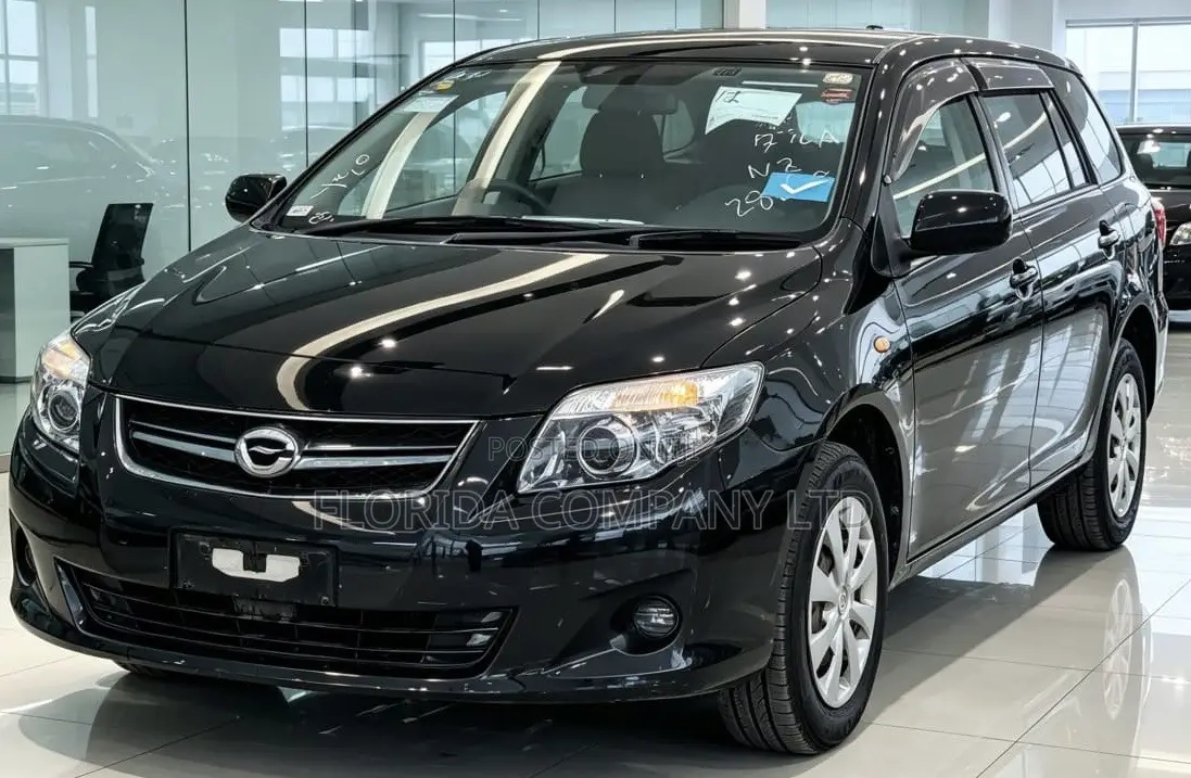 Toyota Corolla Fielder 2010 Black