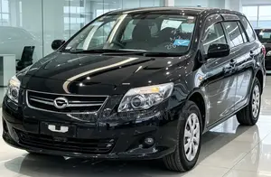 Toyota Corolla Fielder 2010 Black