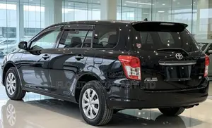 Toyota Corolla Fielder 2010 Black