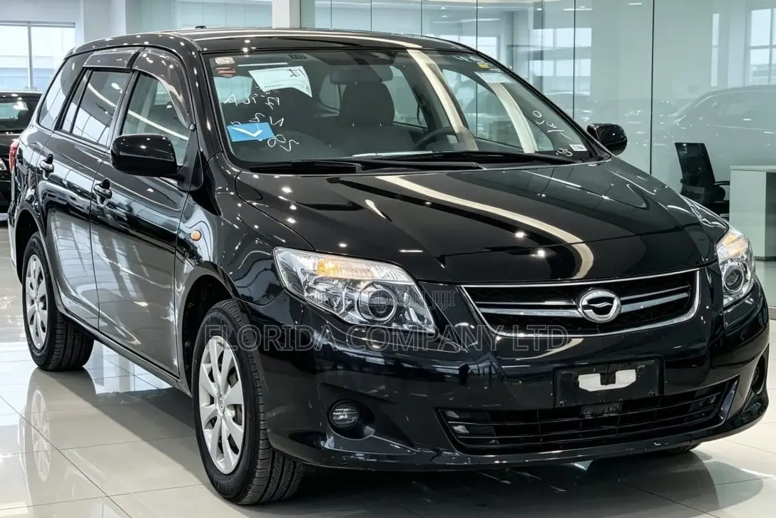 Toyota Corolla Fielder 2010 Black