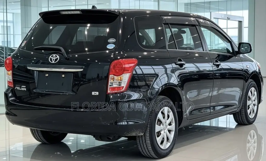 Toyota Corolla Fielder 2010 Black