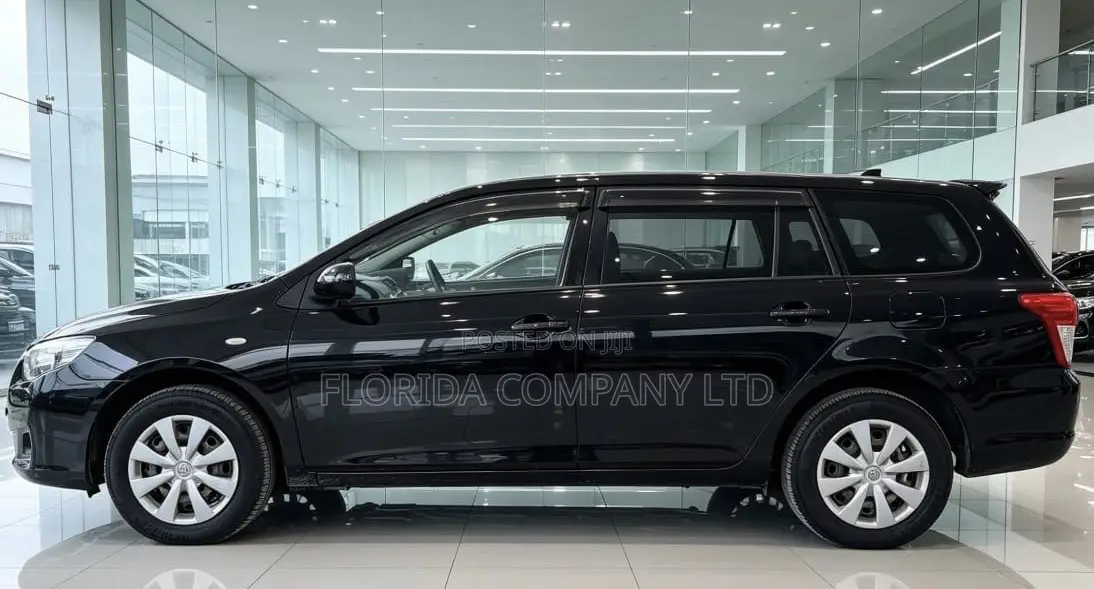 Toyota Corolla Fielder 2010 Black