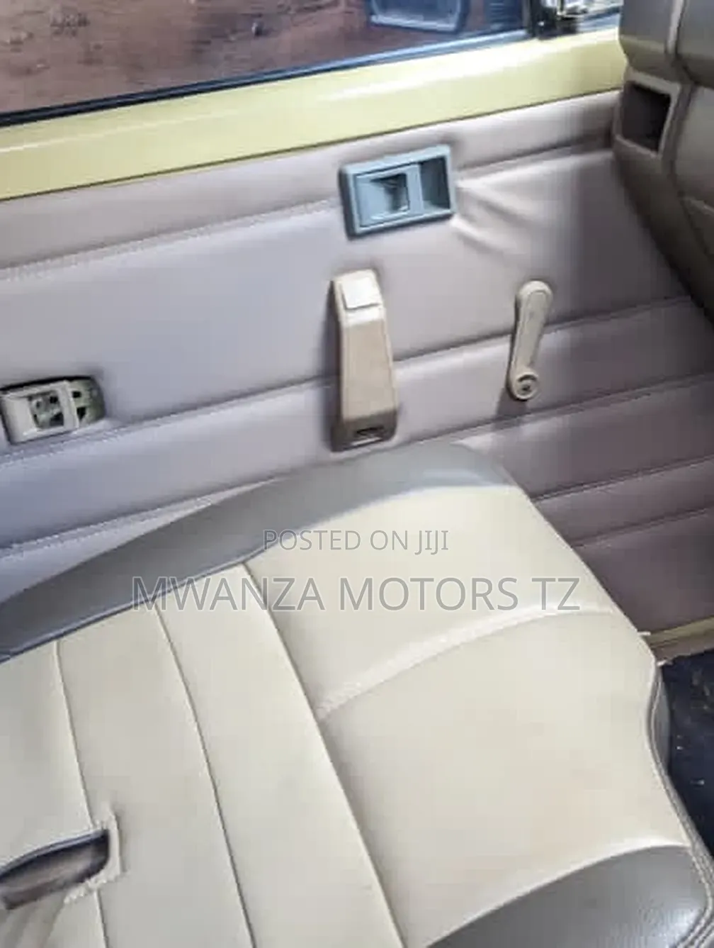 Toyota Land Cruiser 2009 Gold