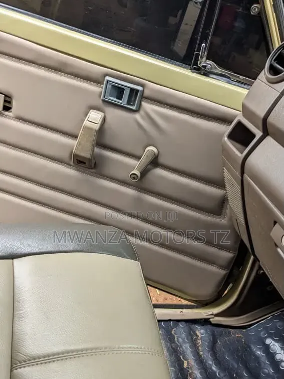 Toyota Land Cruiser 2009 Gold