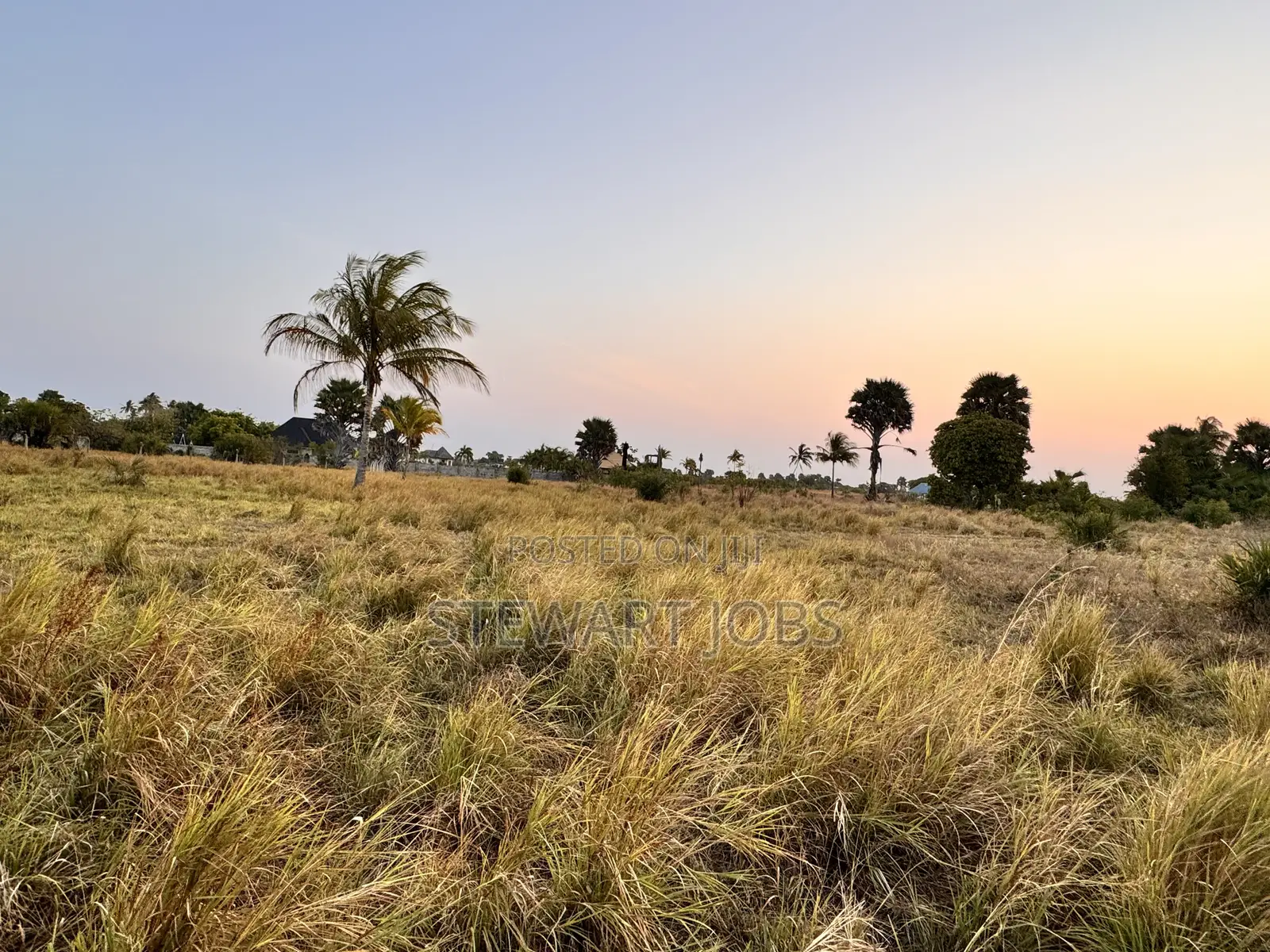 Surveyed Beach Plot for Sale - Kimbiji