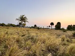 Surveyed Beach Plot for Sale - Kimbiji