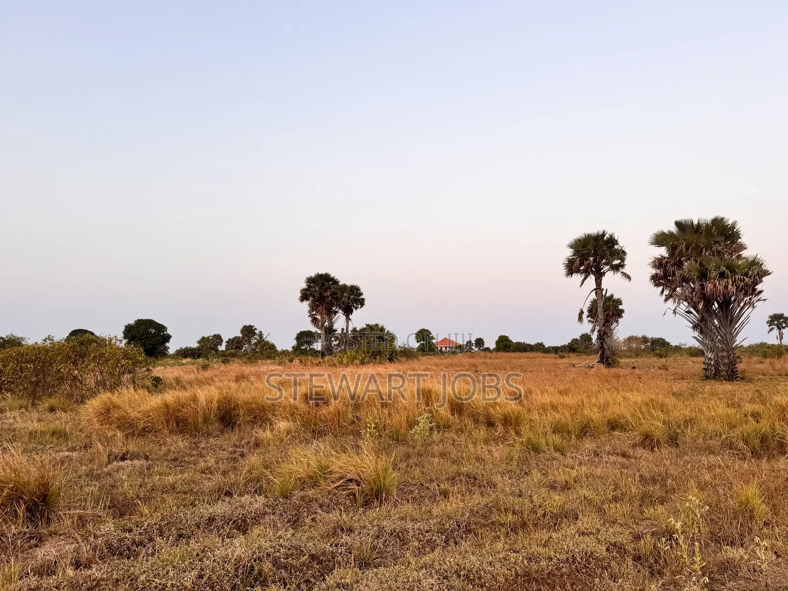 Surveyed Beach Plot for Sale - Kimbiji