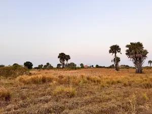 Surveyed Beach Plot for Sale - Kimbiji