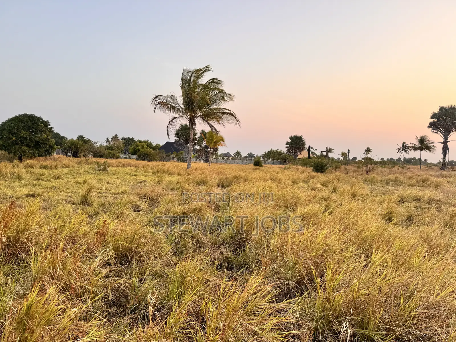Surveyed Beach Plot for Sale - Kimbiji