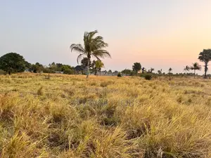 Surveyed Beach Plot for Sale - Kimbiji