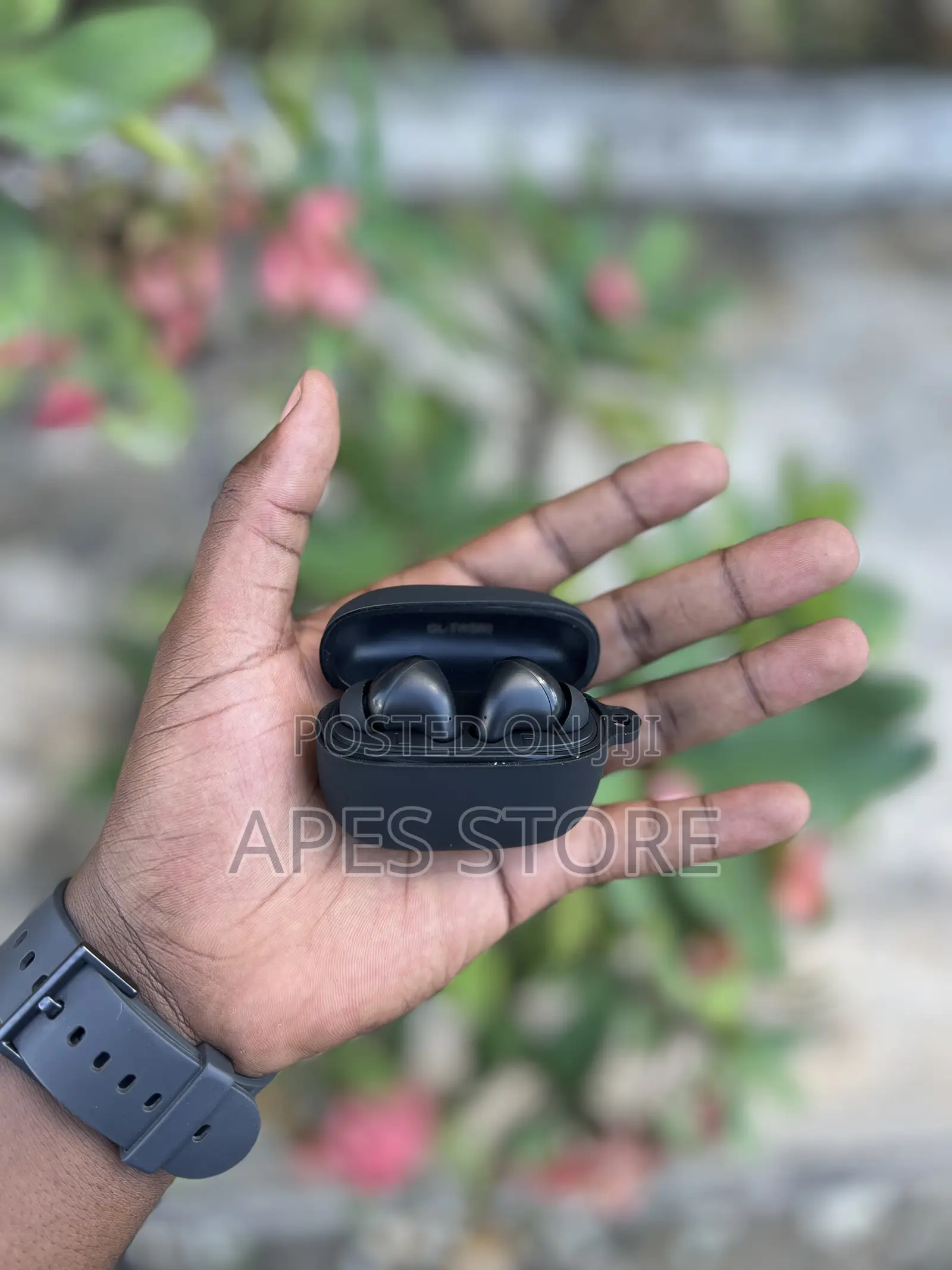 Greenlion Santorini 2 With Case