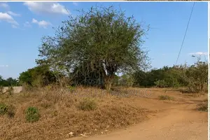 Kiwanja Sokoni!