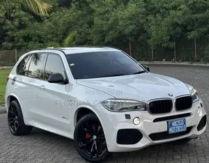 BMW X5 2015 Silver