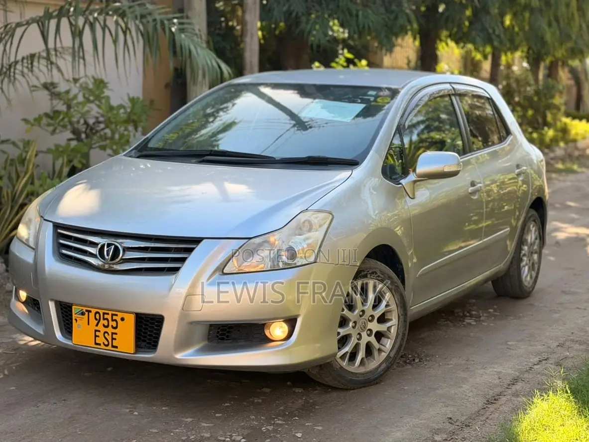 Toyota Blade 2008 Silver