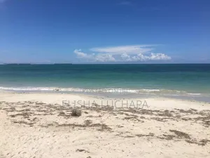 20 Acres Beach Plot for Sale at Kilwa
