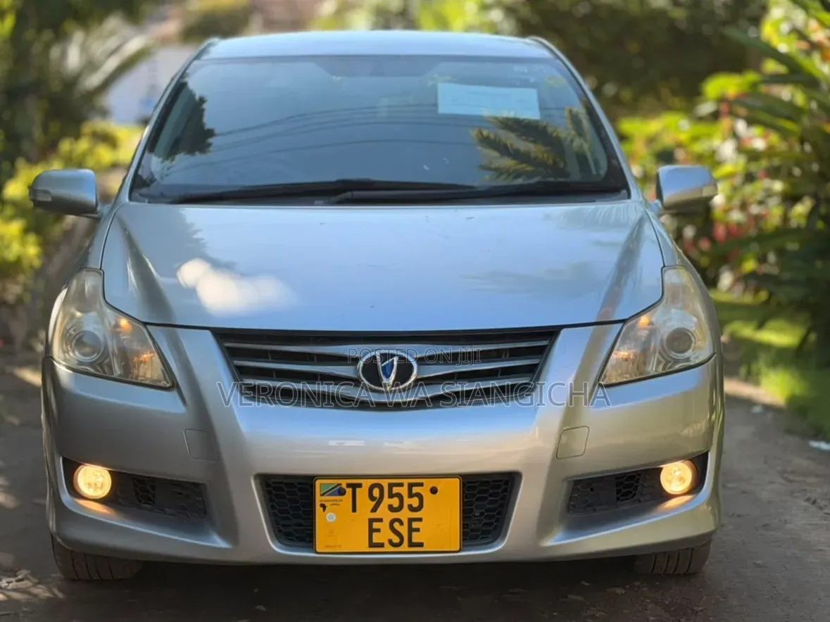 Toyota Blade 2008 Silver