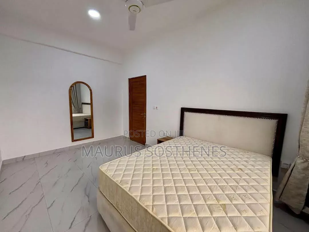 Furnished 3bdrm Apartment in Upanga for rent