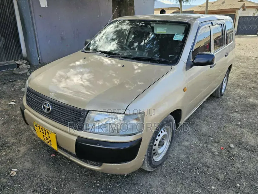 Toyota Probox 2011 Gold