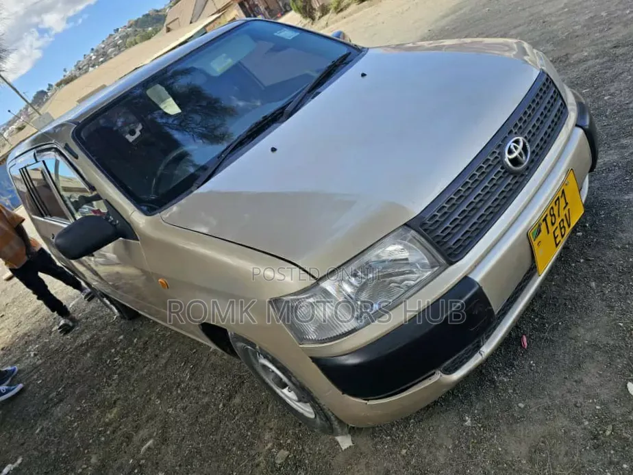 Toyota Probox 2011 Gold