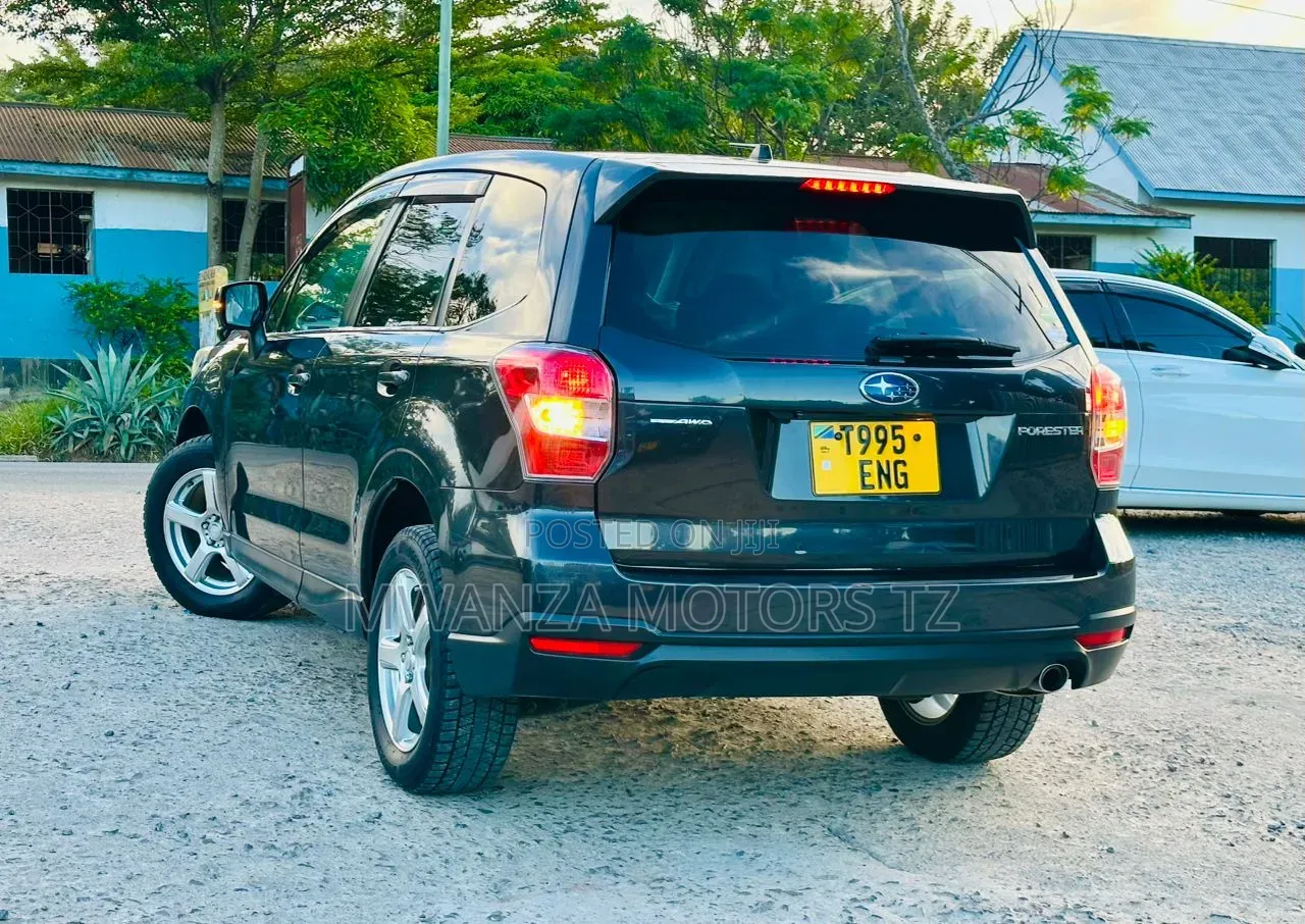 Subaru Forester 2013 Gray